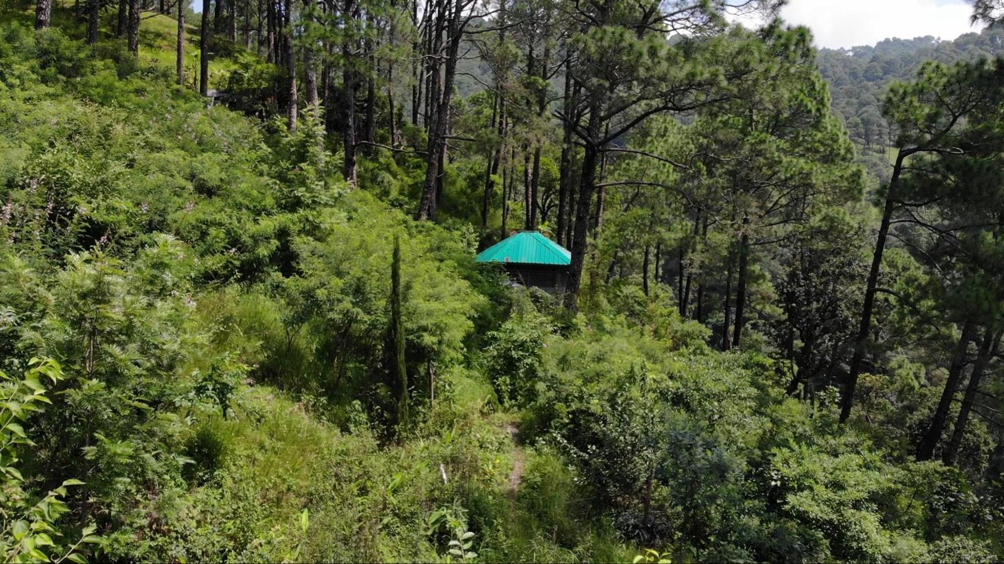 Heal Farm - Himalayan Eco Alternative Lifestyle For Agriculture Recreation And Meditation Nainital Exterior foto